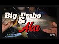 Sydney fishing bream & jewfish