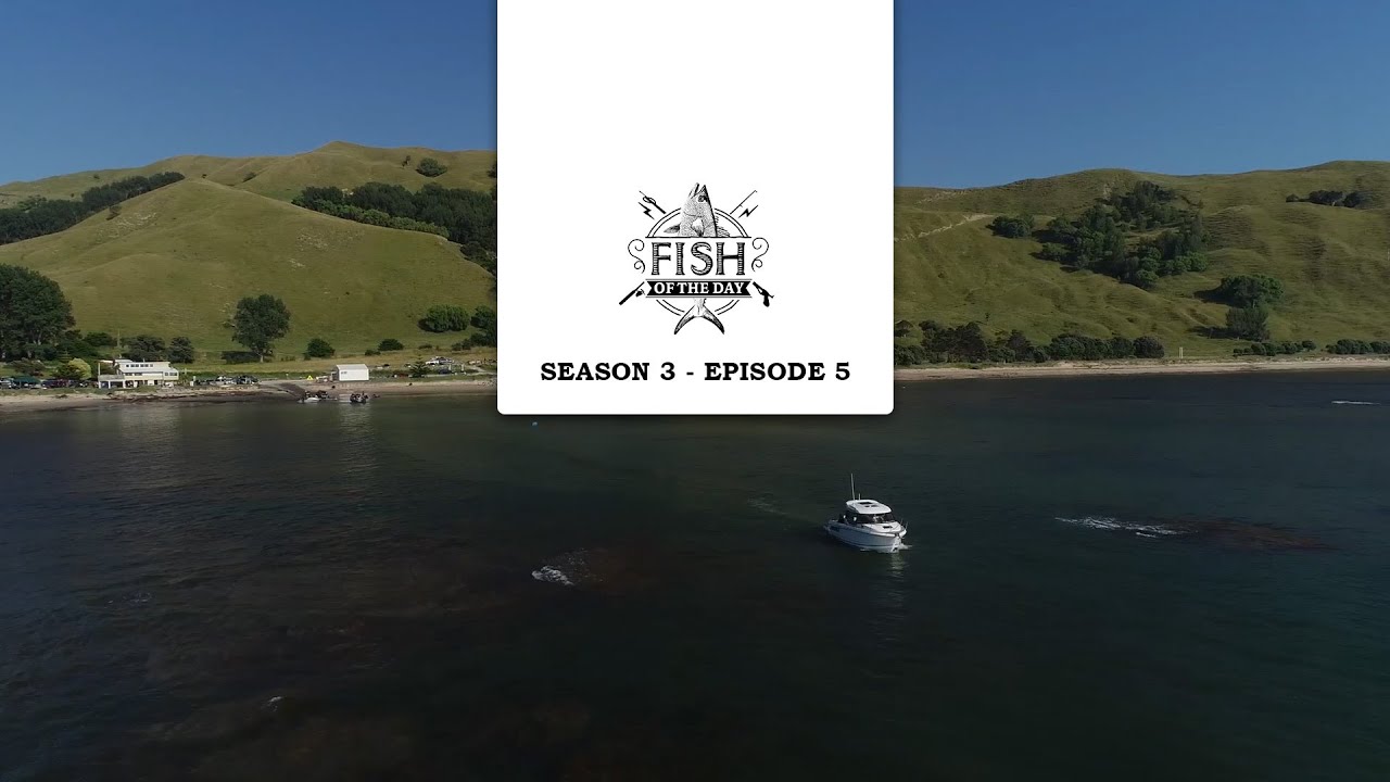 Fish of the Day Saison 3 Episode 5 – Découverte du Merry Fisher 795