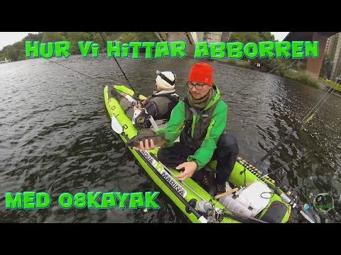 Video: Hur Man Hittar En Fjärrserver