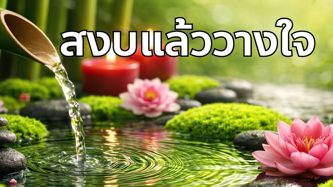 ดนตรีบำบัดสมองและจิตใจ (ไม่มีโฆษณาคั่นกลาง) เสียงน้ำไหลเสียงนก 