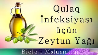Qulaq İnfeksiyaları Üçün Zeytun Yağının Faydaları