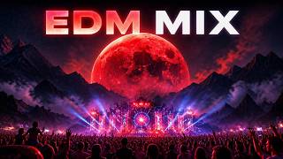 Modern Remix Collection • Fresh Club Anthems and Vibes