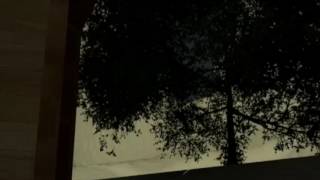 COMPUTER APPLICATION FINAL PROJECT - ANIMATION