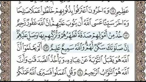 سورة التوبة الصفحة 203 الشيخ محمد صديق المنشاوي