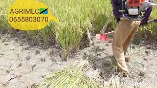 Mashine ya kuvunia Mpunga, Ngano, Maharage. Wasiliana nasi 0655803070 Mashine ya kuvunia Mpunga, Ngano, Maharage. Wasiliana nasi 0655803070