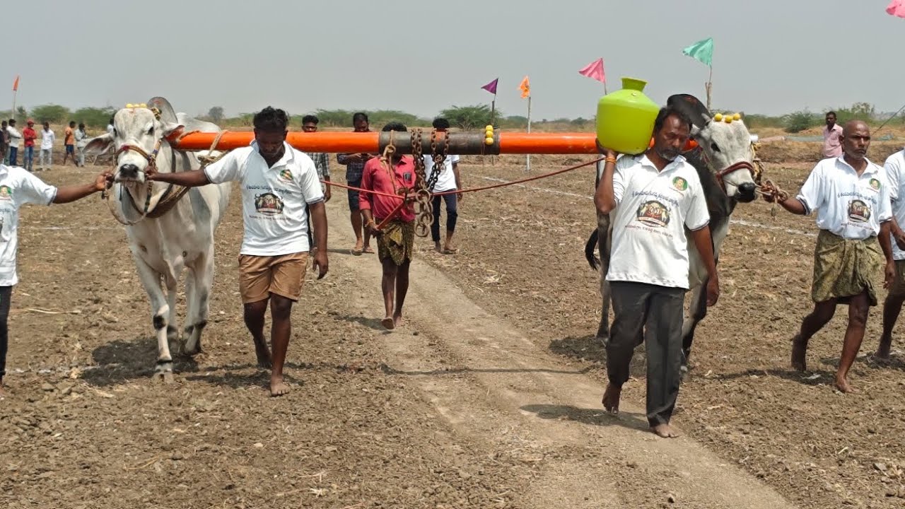 తలపనూరు 6పల్లలో,2వ జత,