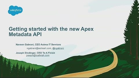 Getting Started with the New Apex Metadata API