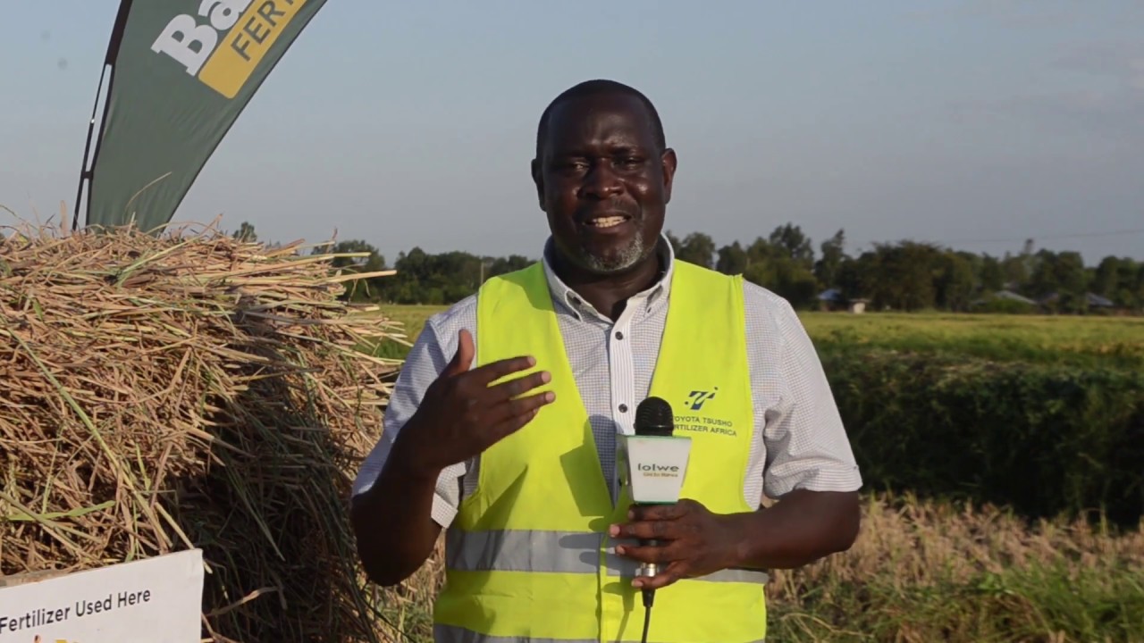 Toyota Tsusho Fertilizer Africa Ltd. AHERO RICE Scheme supported by the ...
