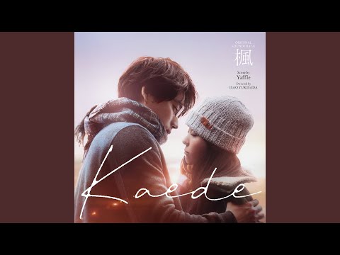 楓 スピカ スピッツ Spitz 廃盤 未開封 草野マサムネ 8cmCDシングル 楓|スピカ/SPITZ/スピッツ｜平成J-POP｜ディスクユニオン・オンライン