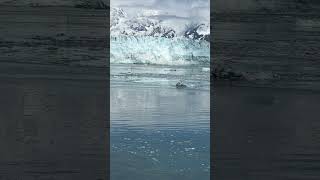 IMG 8784