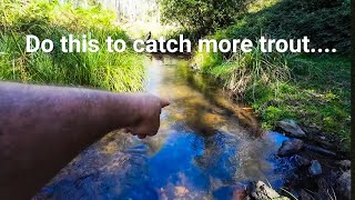 Trout Fishing Tips: How To Catch More Trout