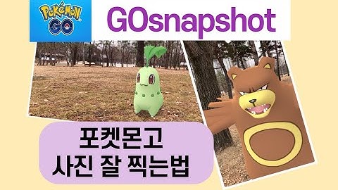 포켓몬 고 스냅 샷 - pokesmon go seunaeb syas