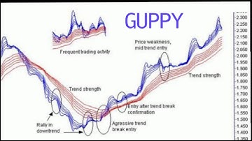 The Guppy Multiple Moving Average (GUPPY) Strategy