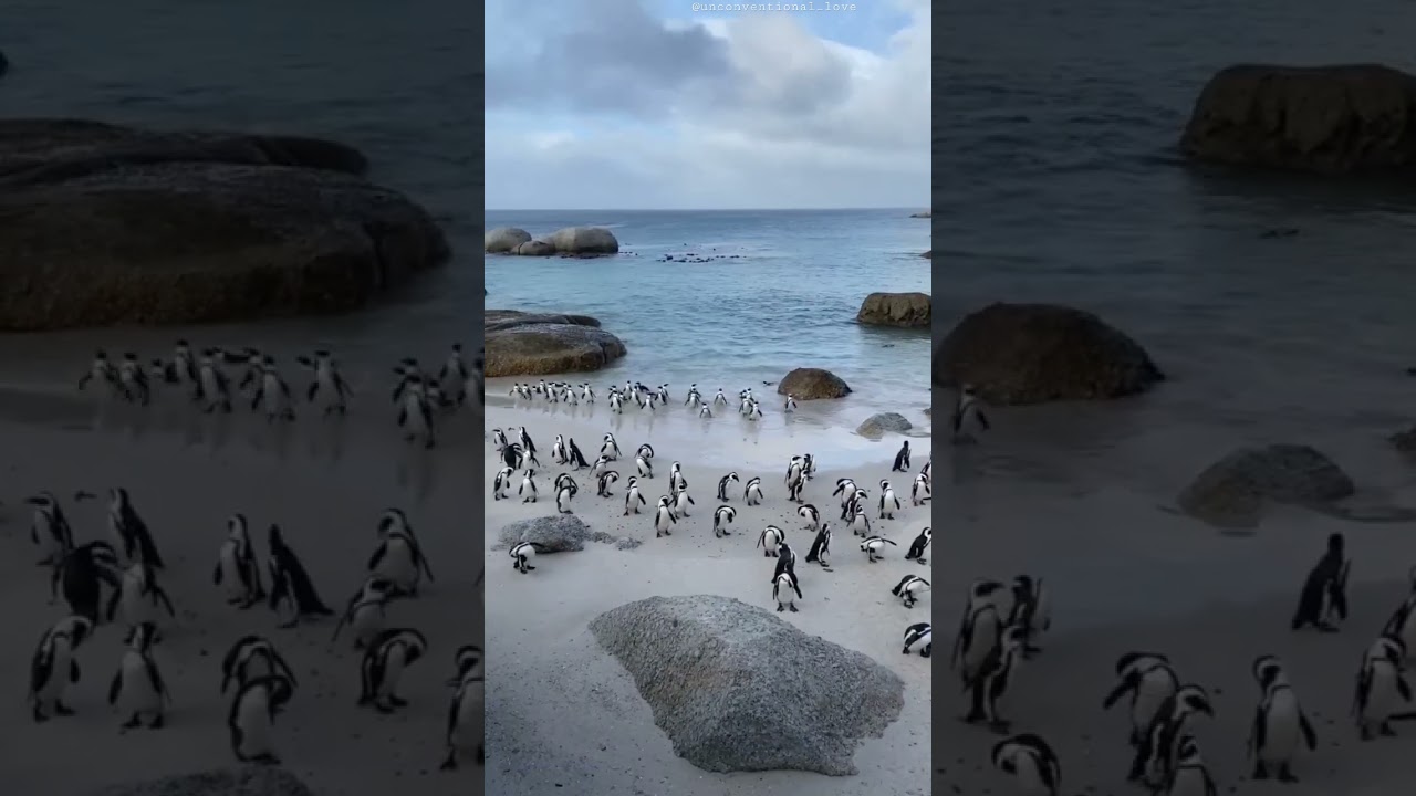 “Life is better with true friends.” 