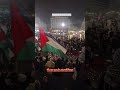 Bruxelles 08 octobre 2025 #live #real#gaza#humanity #bruxelles #news #actualités
