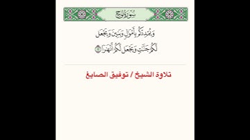 #تلاوة #آيات من #سورة نوح لفضيلة الشيخ توفيق الصايغ