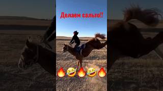 🔥🤣Крутой Сальто🤣🔥 #compilation #horse #horseriding #war #rek #кокбору #финиш #хочу #көкпар #лошади