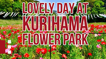 Kurihama Flower Park and Godzilla Slide |Japan| くりはま花の国
