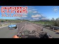 Стрим 10.11.2024