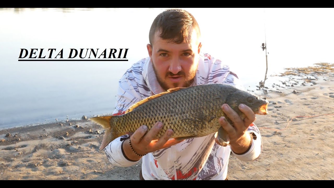 O noua aventura in Delta Dunarii, am pescuit pe bratul SF Gheorghe si ne-am distrat si pescuit!