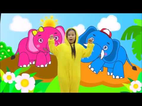 เพลงช้าง ช้าง ช้าง น้องเคยเห็นช้างรึเปล่า เพลงเด็กในตำนาน | น้องนะโมเต้นเพลงช้าง