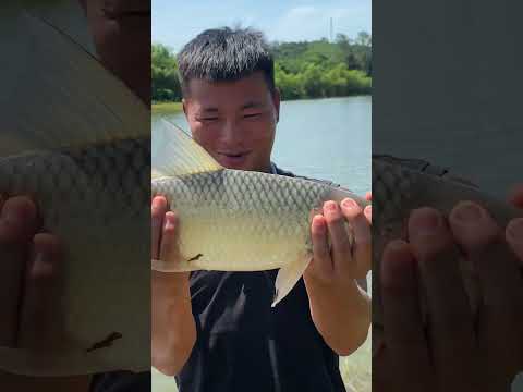 Câu cá và cooking. Ẩm thực bụi #caođàitổng #fishing #caucathugian