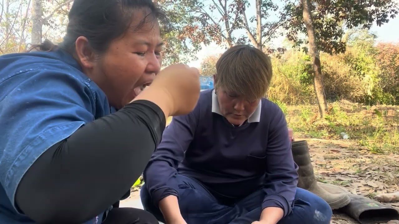 มันสำปะปลูกไว้ 2 ปี ไปขาย  เมนูเที่ยงตำส้มตำ ปลาดุกย่าง EP.5