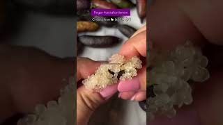 فنگرلائم آسٹریلین دنیاکا سب سے مہنگاخوبصورت لیمن#australian  #fingerlimes #fingerlemon  #lemon #lime