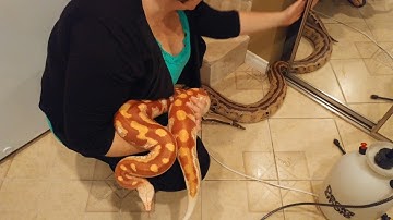 Handling Jack The Ripper