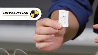 Project Pedestrian introduction