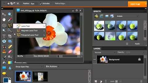 Photoshop Elements 9.0 Tutorial The Lasso Tools Adobe Training Lesson 8.4