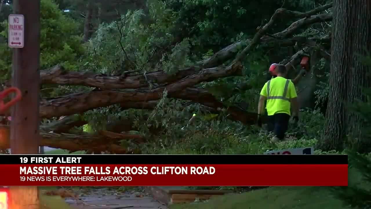 Lakewood tree rips down power lines YouTube