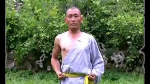 Shaolin basic kung fu 1  warm up, endurance, stretching, drills