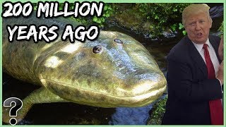 What If You Were Alive 200 Million Years Ago?