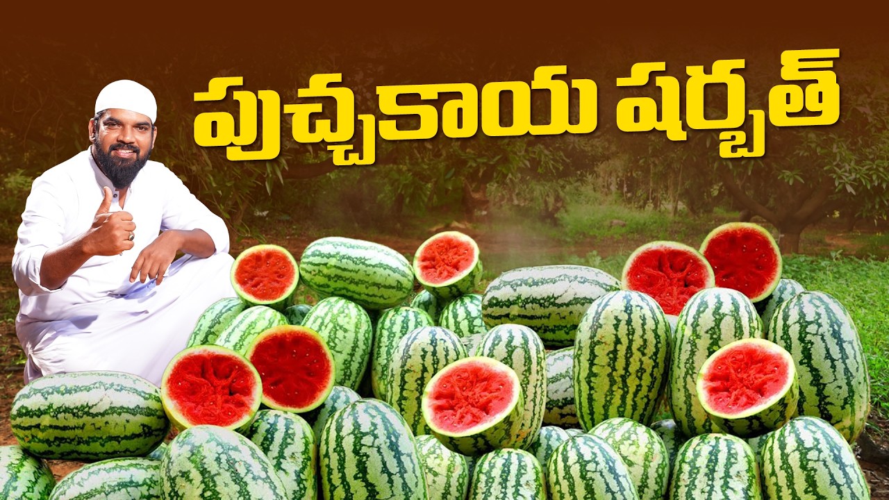 పుచ్చకాయ షర్బత్ | Mohabbat Ka Sharbat | Watermelon Sharbat Ramzan Special Drink | NawabKitchenTelugu