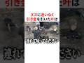 ㊗️100万回再生!!ズズに迷いなく引き金を引いた叶 VTuber#にじさんじ#雑学#豆知識