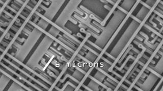 Zoom in a Microchip