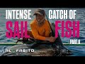 INTENSE CATCH OF SAILFISH II