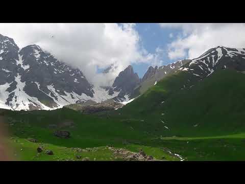 აბუდელაური