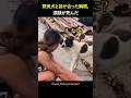 野良犬と目が合った瞬間、涙腺が死んだ