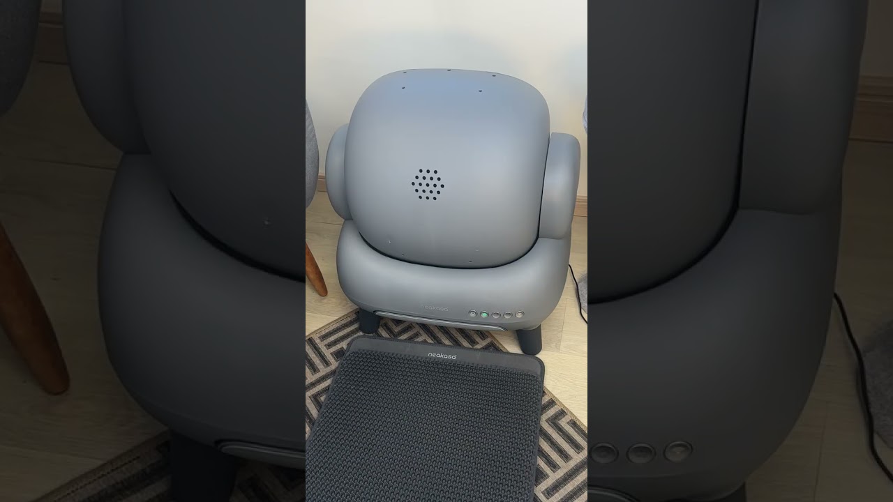 A Caixa de Areia Automática que vai mudar a sua vida!