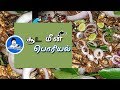 Village style fish fry recipe / கிராமத்து வீட்டு மீன் பொறியல்