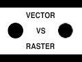 Vector vs Raster - What is the Difference Between a Raster and Vector Image