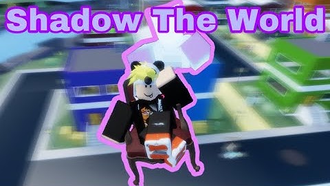 Shadow The World 1v1