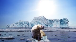 Top 10 Effects of Global Warming by TenRanking 2,763 views 10 years ago 2 minutes, 27 seconds