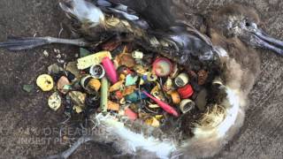 Information PSA Ocean Pollution (ksu 1101) News