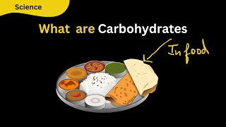 Exploring Food: What are Carbohydrate and Glucose | Class 9 & 10 Science