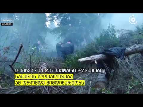 ლენტეხში, ტყეში გაჩენილი ხანძრის ლოკალიზებაში ვერტმფრენი ჩაერთვება