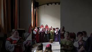 Magical Medieval And Renaissance Choir