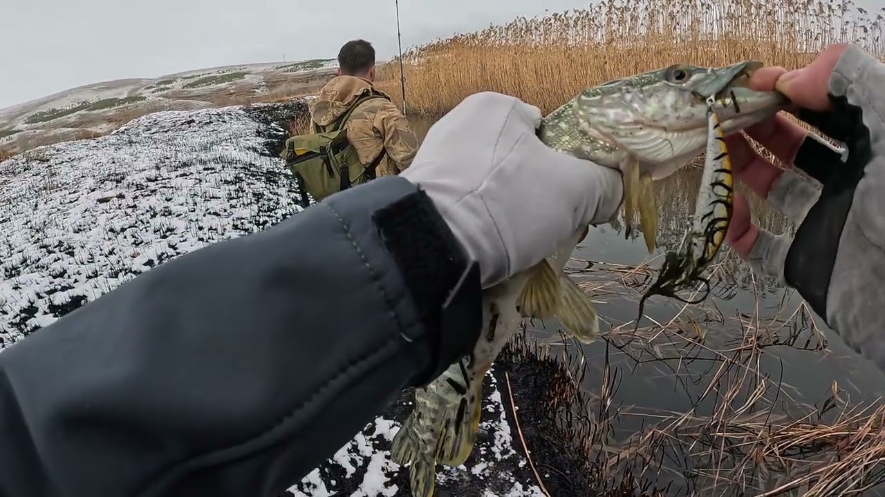 Kayseri Derede Turna Avı